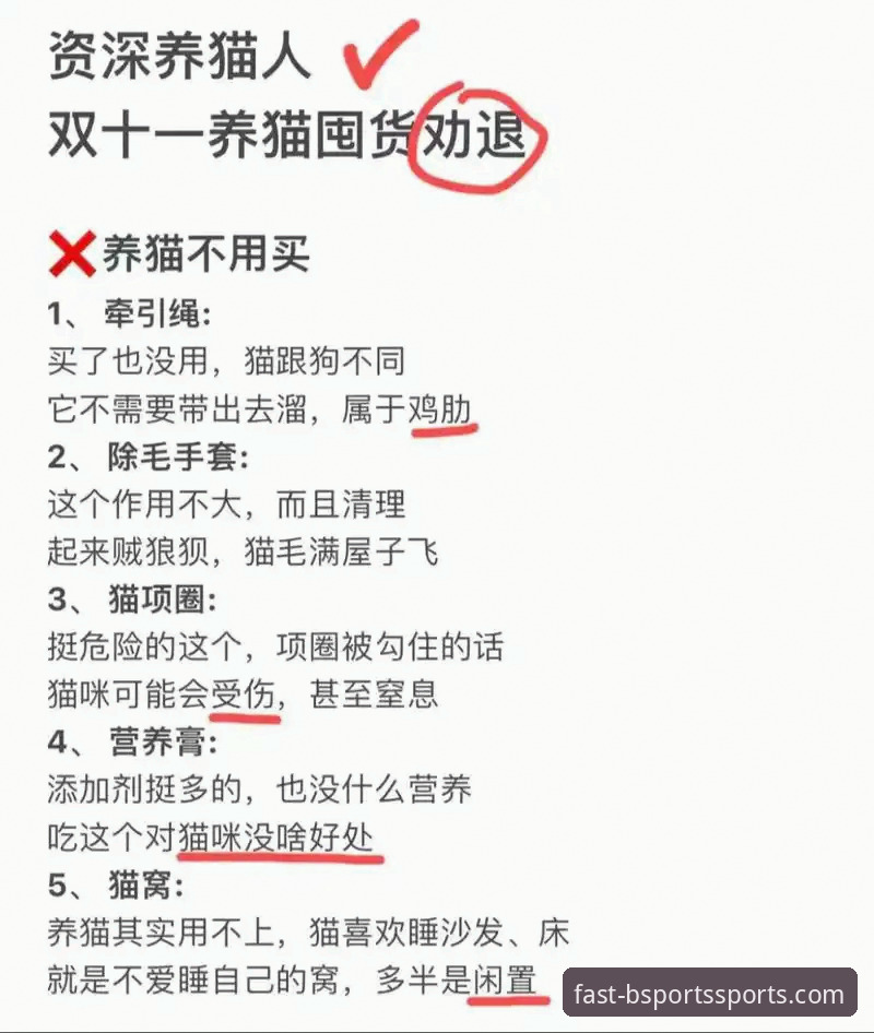 资深用户深度解析：B体育2024版本实战经验与下载全攻略